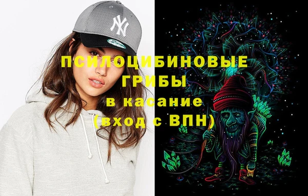сатива Нея