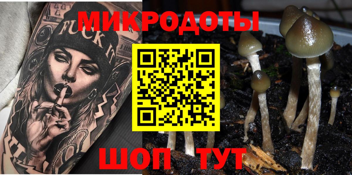 Псилоцибиновые грибы MAGIC MUSHROOMS Астрахань