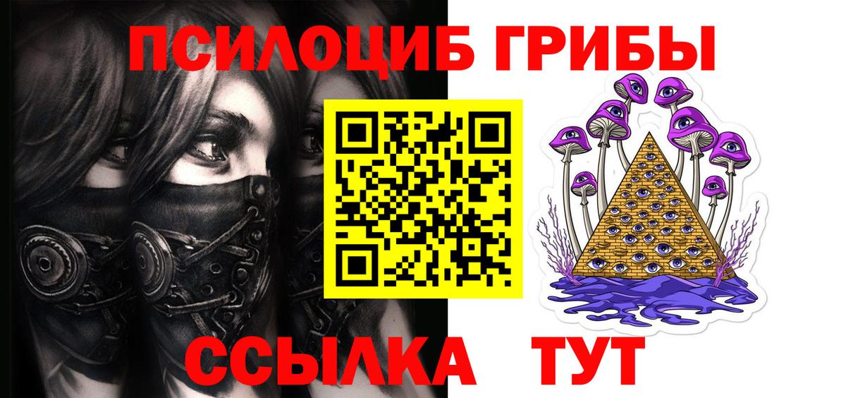 купить наркотики сайты  Астрахань  Псилоцибиновые грибы GOLDEN TEACHER 