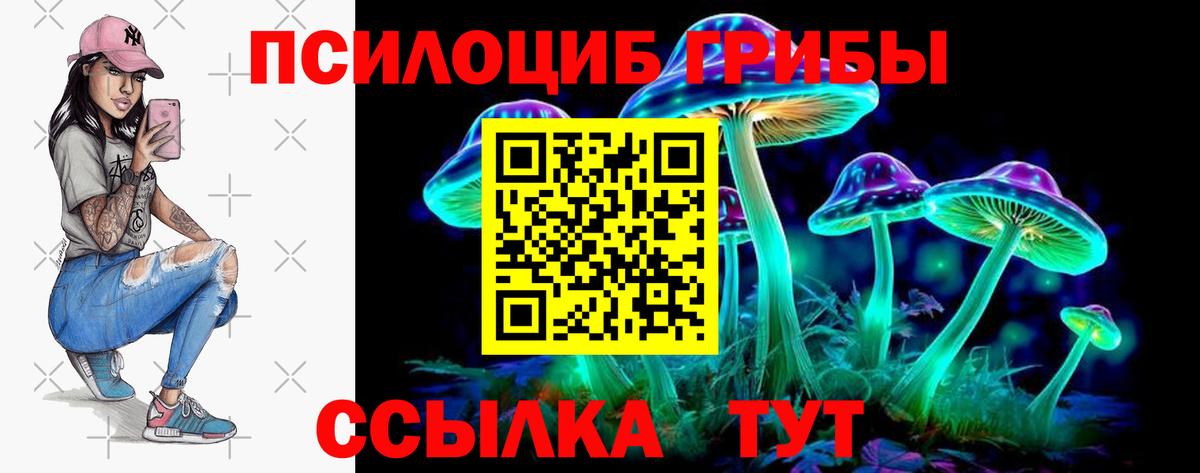 закладки  Вход с VPN  Астрахань  Галлюциногенные грибы ЛСД  Галлюциногенные грибы Psilocybine cubensis 