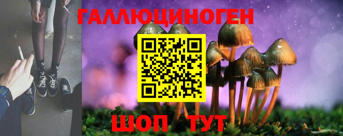 Псилоцибиновые грибы Cubensis Астрахань